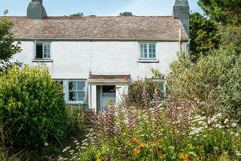 Ich träume von einem Cottage Garten