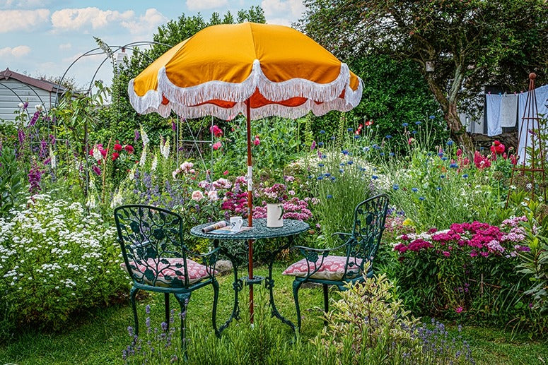 Ich träume von einem Cottage Garten