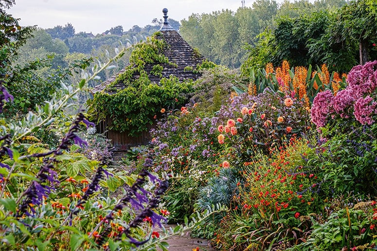 Ich träume von einem Cottage Garten