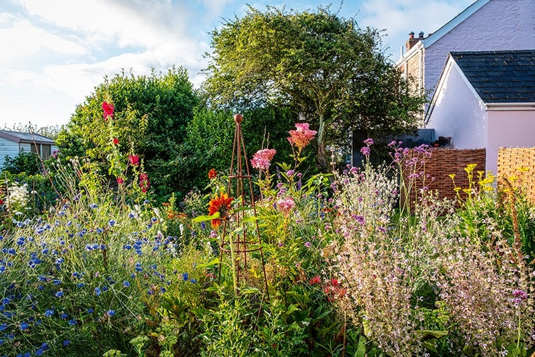 Ich träume von einem Cottage Garten